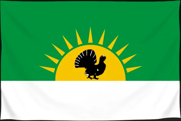 Флаг: Седельниковский район